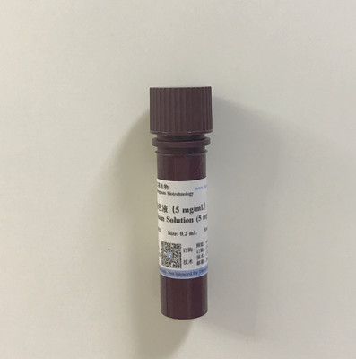 DAPI染色液（5 mg/mL） DAPI Stain Solution (5 mg/mL)
