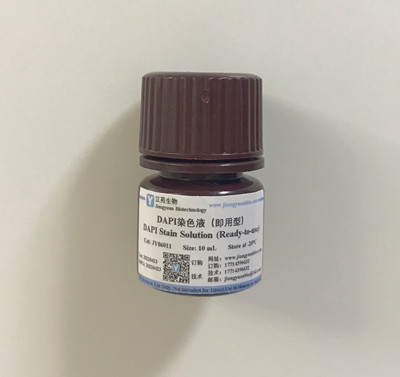 DAPI染色液（即用型） DAPI Stain Solution (Ready-to-use)