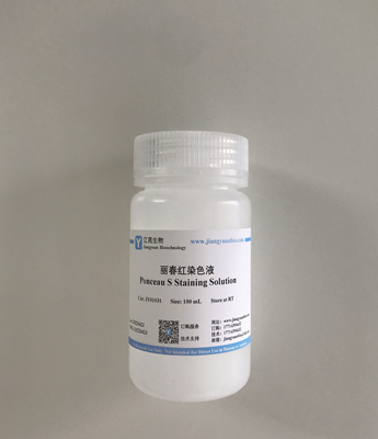 麗春紅染色液 Ponceau S Staining Solution