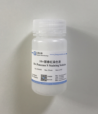 10×麗春紅染色液 10×Ponceau S Staining Solution