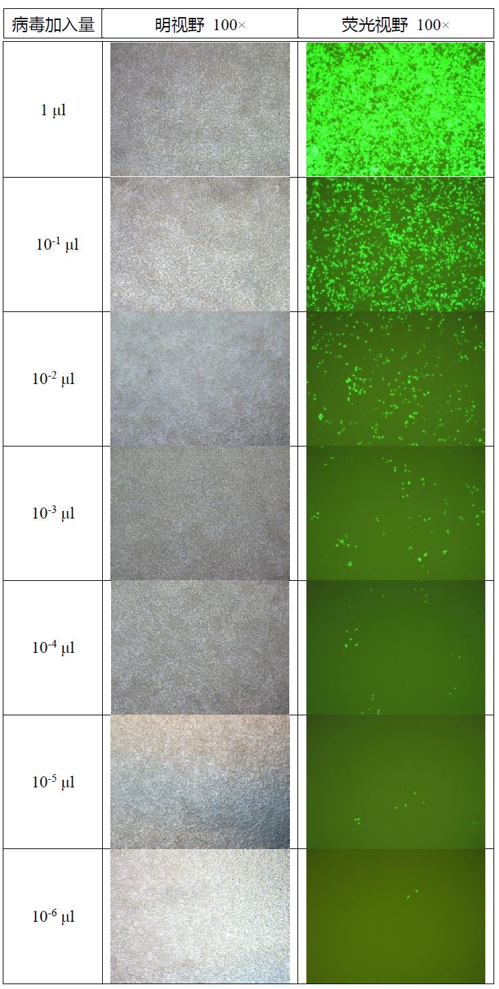 1660206989762463.jpg 3.JPG