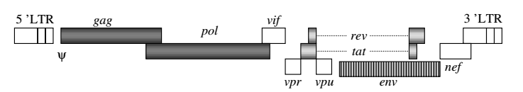 1660311454624418.png 4.png